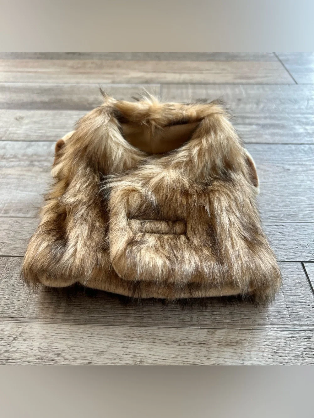 Animal Lion Head Cap